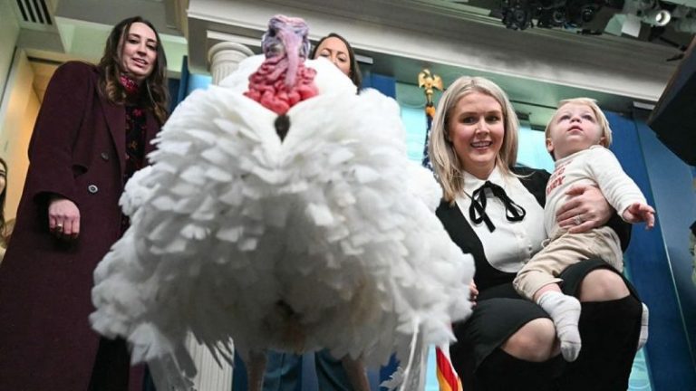 How the White House turkey pardon became an American tradition